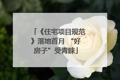 《住宅项目规范》落地首月 “好房子”受青睐