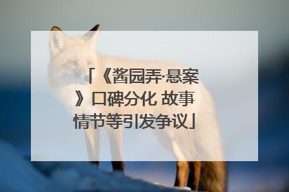 《酱园弄·悬案》口碑分化 故事情节等引发争议