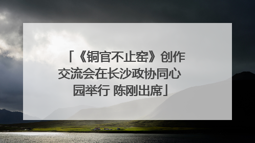 《铜官不止窑》创作交流会在长沙政协同心园举行 陈刚出席