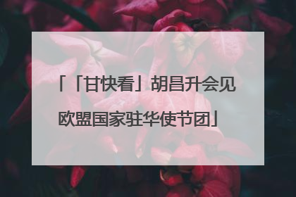 「甘快看」胡昌升会见欧盟国家驻华使节团