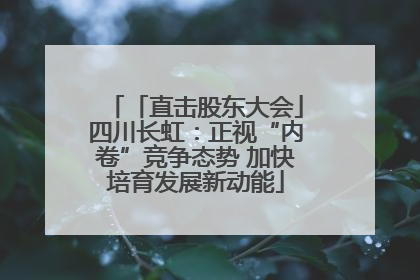 「直击股东大会」四川长虹：正视“内卷”竞争态势 加快培育发展新动能