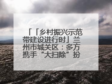 「乡村振兴示范带建设进行时」兰州市城关区：多方携手“大扫除”扮靓乡村“颜值”