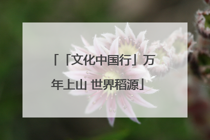 「文化中国行」万年上山 世界稻源