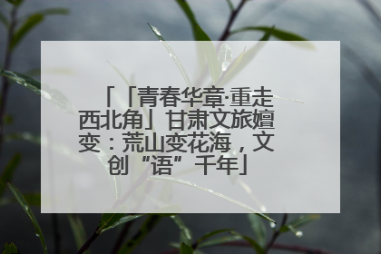 「青春华章·重走西北角」甘肃文旅嬗变：荒山变花海，文创“语”千年
