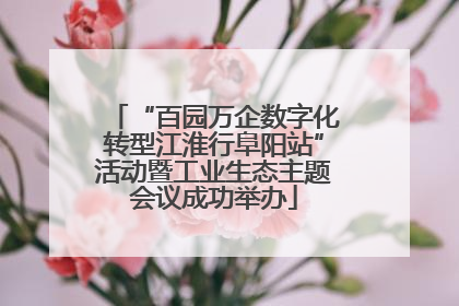“百园万企数字化转型江淮行阜阳站”活动暨工业生态主题会议成功举办