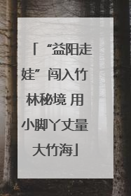“益阳走娃”闯入竹林秘境 用小脚丫丈量大竹海