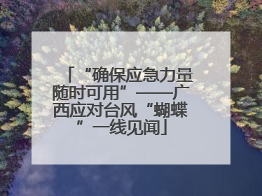 “确保应急力量随时可用”——广西应对台风“蝴蝶”一线见闻