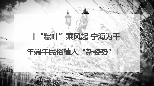 “粽叶”乘风起 宁海为千年端午民俗植入“新姿势”