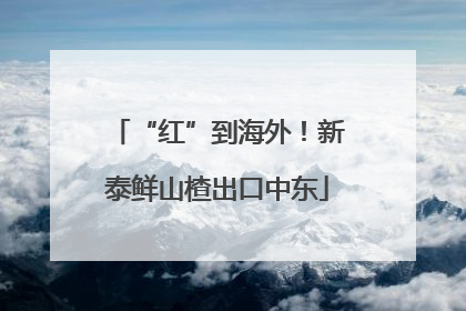 “红”到海外！新泰鲜山楂出口中东