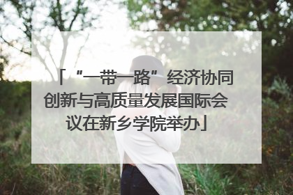 “一带一路”经济协同创新与高质量发展国际会议在新乡学院举办