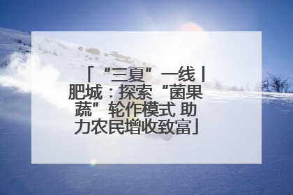 “三夏”一线丨肥城：探索“菌果蔬”轮作模式 助力农民增收致富