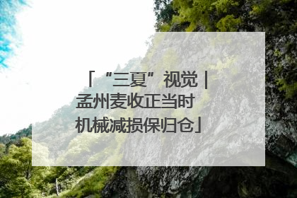 “三夏”视觉｜孟州麦收正当时 机械减损保归仓