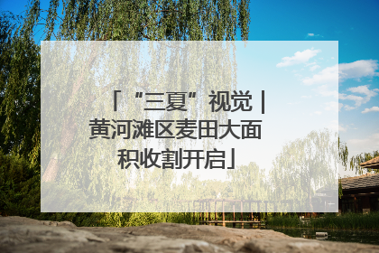 “三夏”视觉｜黄河滩区麦田大面积收割开启