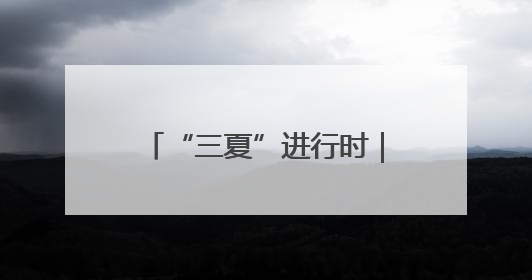 “三夏”进行时｜盐碱地上插秧忙
