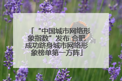 “中国城市网络形象指数”发布 合肥成功跻身城市网络形象榜单第一方阵