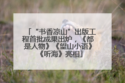 “书香凉山”出版工程首批成果出炉，《都是人物》《望山小语》《听海》亮相