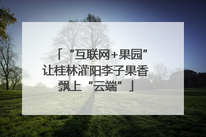 “互联网+果园”让桂林灌阳李子果香飘上“云端”