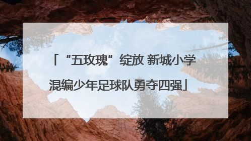 “五玫瑰”绽放 新城小学混编少年足球队勇夺四强