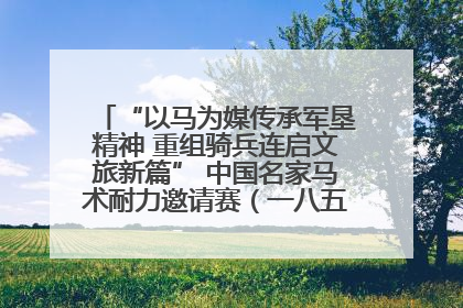 “以马为媒传承军垦精神 重组骑兵连启文旅新篇” 中国名家马术耐力邀请赛（一八五团站）暨重启骑兵连活动正式启动