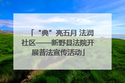 “典”亮五月 法润社区——新野县法院开展普法宣传活动