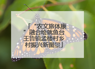 “农文旅体康”融合绘就鱼台王鲁镇孟楼村乡村振兴新图景