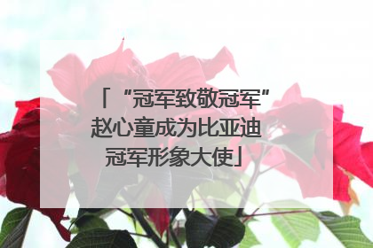 “冠军致敬冠军” 赵心童成为比亚迪冠军形象大使