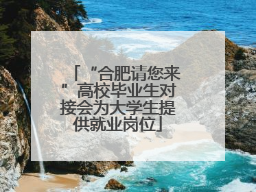 “合肥请您来”高校毕业生对接会为大学生提供就业岗位