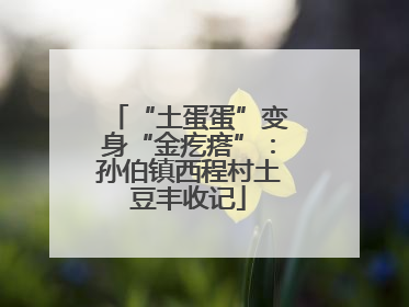“土蛋蛋”变身“金疙瘩”：孙伯镇西程村土豆丰收记