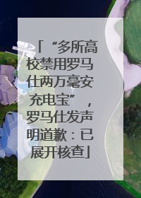“多所高校禁用罗马仕两万毫安充电宝”，罗马仕发声明道歉：已展开核查