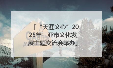 “天涯文心”2025年三亚市文化发展主题交流会举办