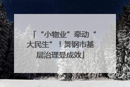 “小物业”牵动“大民生”！舞钢市基层治理显成效