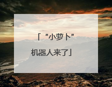 “小萝卜”机器人来了