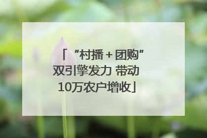 “村播＋团购”双引擎发力 带动10万农户增收