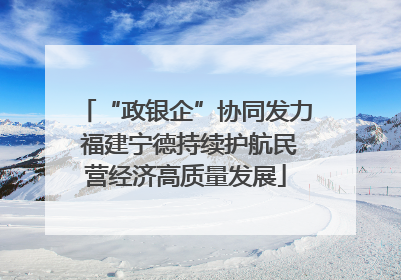 “政银企”协同发力 福建宁德持续护航民营经济高质量发展
