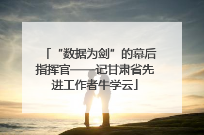 “数据为剑”的幕后指挥官——记甘肃省先进工作者牛学云