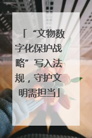 “文物数字化保护战略”写入法规，守护文明需担当