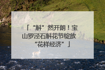 “斛”然开朗！宝山罗泾石斛花节绽放“花样经济”