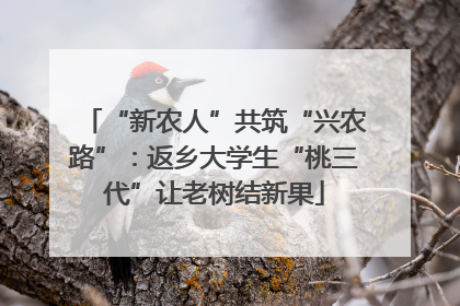 “新农人”共筑“兴农路”：返乡大学生“桃三代”让老树结新果