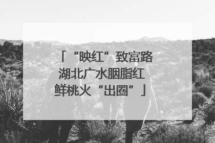 “映红”致富路 湖北广水胭脂红鲜桃火“出圈”