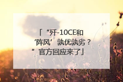 “歼-10CE和‘阵风’孰优孰劣？”官方回应来了