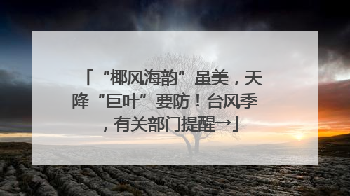 “椰风海韵”虽美，天降“巨叶”要防！台风季，有关部门提醒→