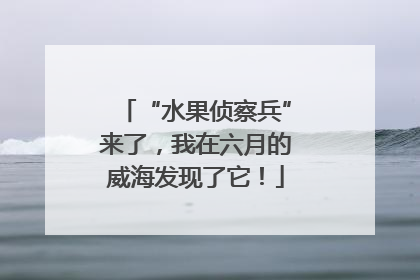 “水果侦察兵”来了，我在六月的威海发现了它！