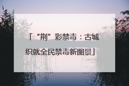 “荆”彩禁毒：古城织就全民禁毒新图景