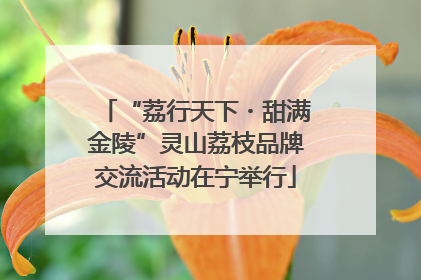 “荔行天下・甜满金陵”灵山荔枝品牌交流活动在宁举行