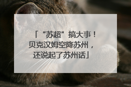 “苏超”搞大事！贝克汉姆空降苏州，还说起了苏州话