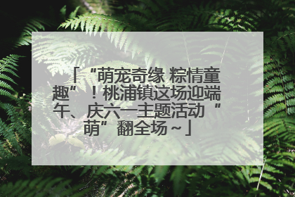 “萌宠奇缘 粽情童趣”！桃浦镇这场迎端午、庆六一主题活动“萌”翻全场～