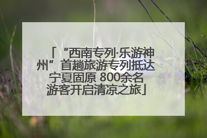 “西南专列·乐游神州”首趟旅游专列抵达宁夏固原 800余名游客开启清凉之旅