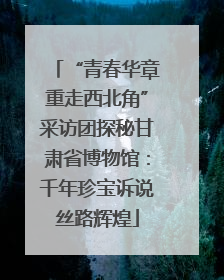“青春华章重走西北角”采访团探秘甘肃省博物馆：千年珍宝诉说丝路辉煌