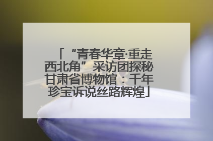 “青春华章·重走西北角”采访团探秘甘肃省博物馆：千年珍宝诉说丝路辉煌