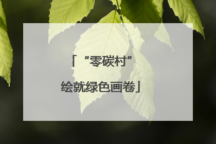 “零碳村” 绘就绿色画卷